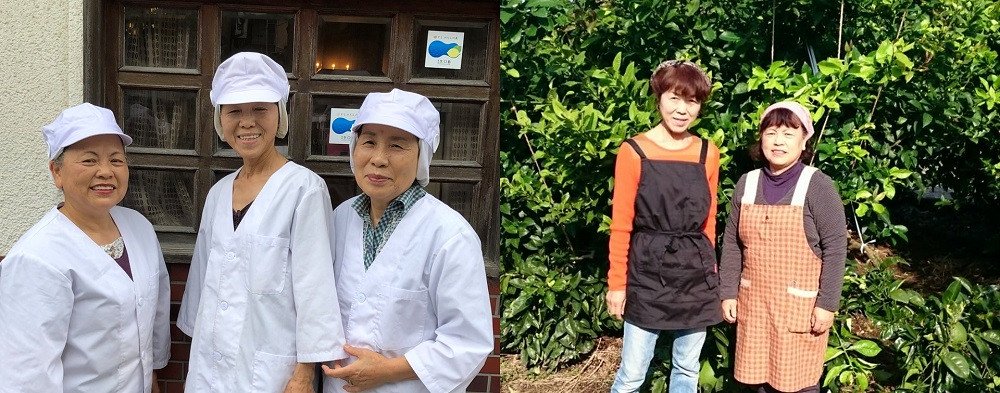 尾道市瀬戸田町産＞40コのれもん2本【レモン 檸檬 果汁 レモン果汁