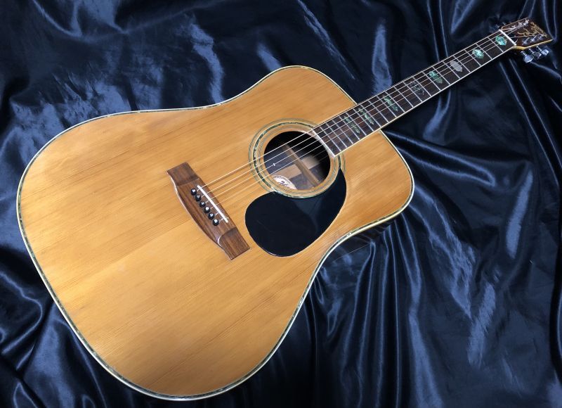 Hill Billy / W-60 - HR/HMギター専門店 FUTURE WORLD