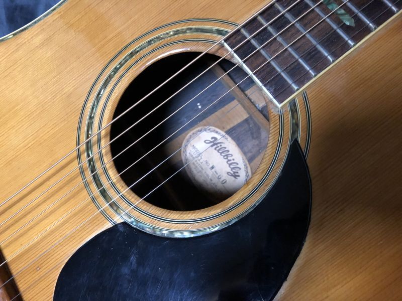 Hill Billy / W-60 - HR/HMギター専門店 FUTURE WORLD