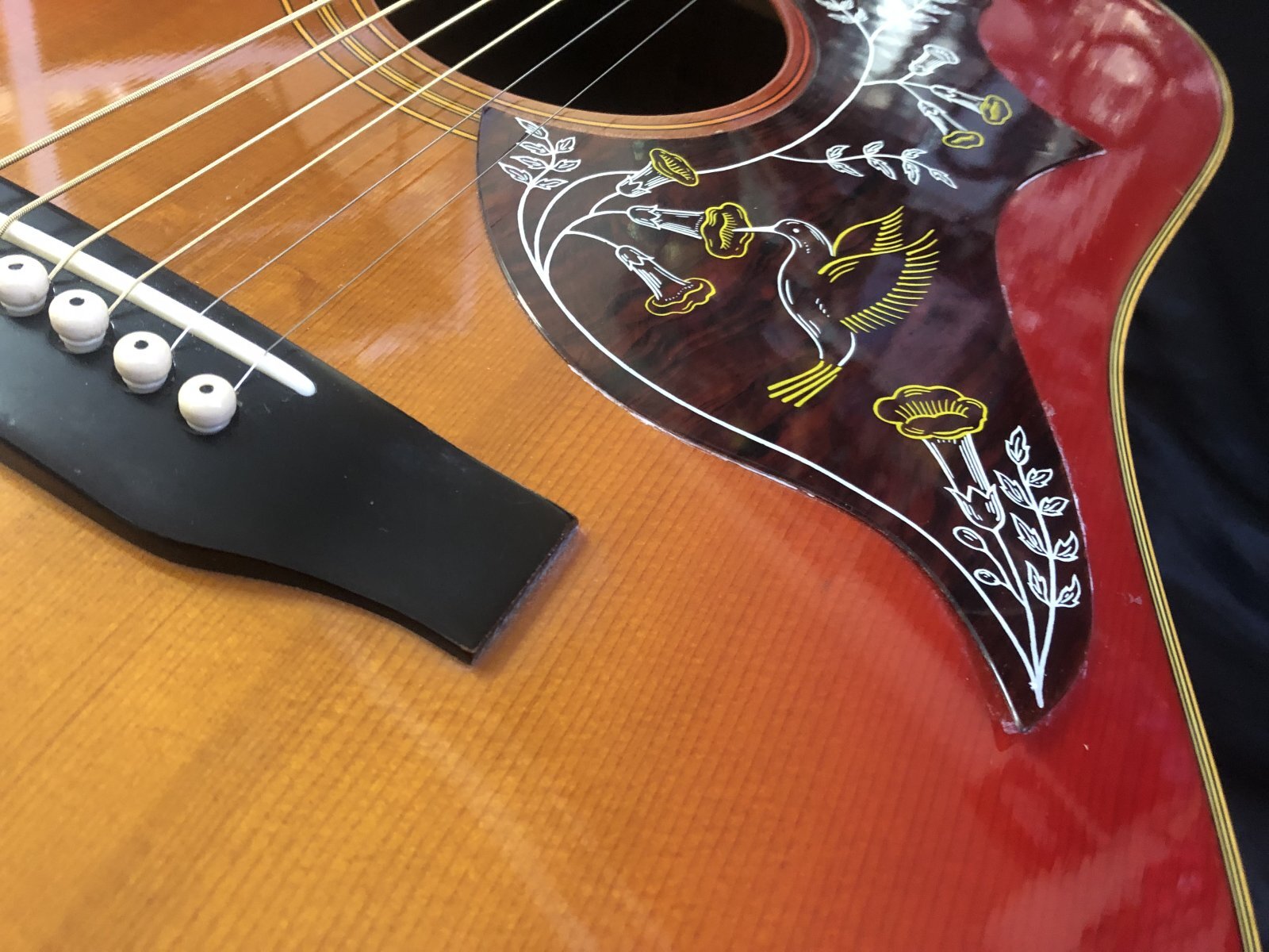 Morris / WH-25 ハミングバード 日本製 - HR/HMギター専門店 FUTURE WORLD