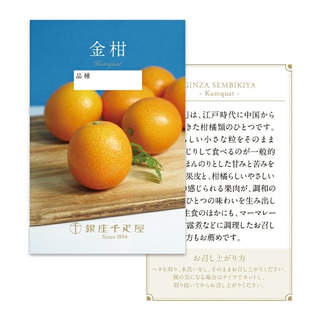 金柑「たまたまエクセレント」24個入 | 銀座千疋屋オンラインショップ