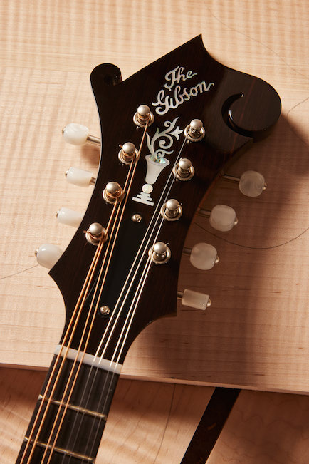 <超貴重特A>GibsonマンドリンA40-N 1940s ~1950s 超貴重特A>GibsonマンドリンA40-N 1940s ~1950s - メルカリ