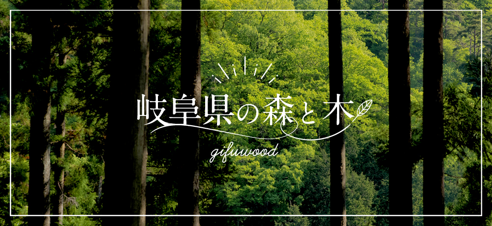 岐阜県の森と木 | ぎふの木ネット