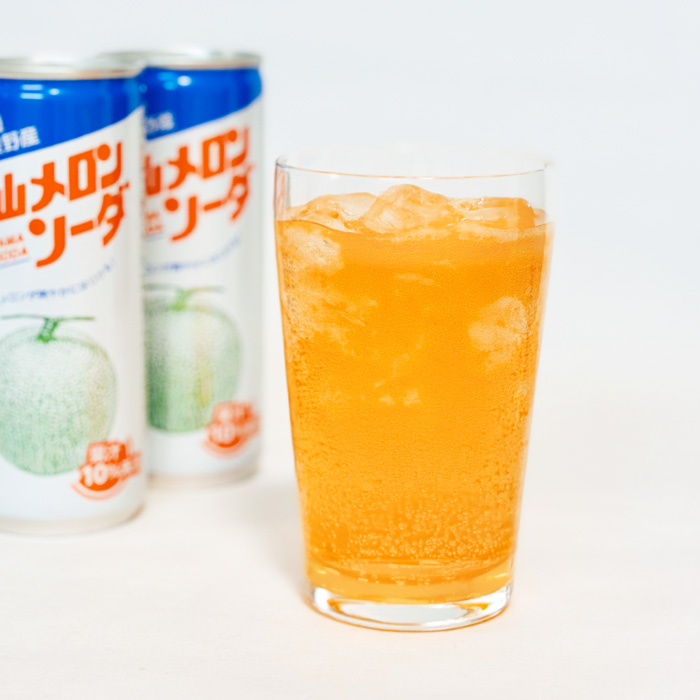 富良野 中山メロンソーダ 30缶 | 野菜ジュース ☆富良野中山メロン