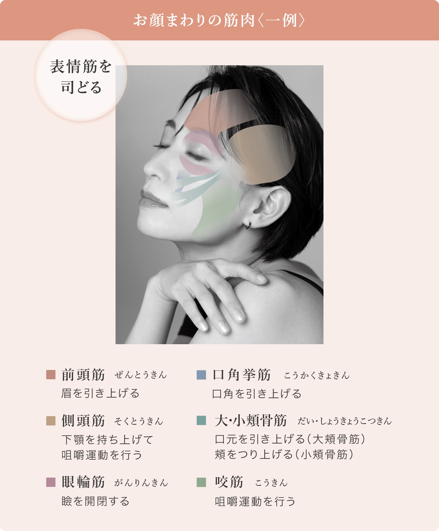 Vスティック（ブイ スティック） | すべて | リッコーオンラインショップ