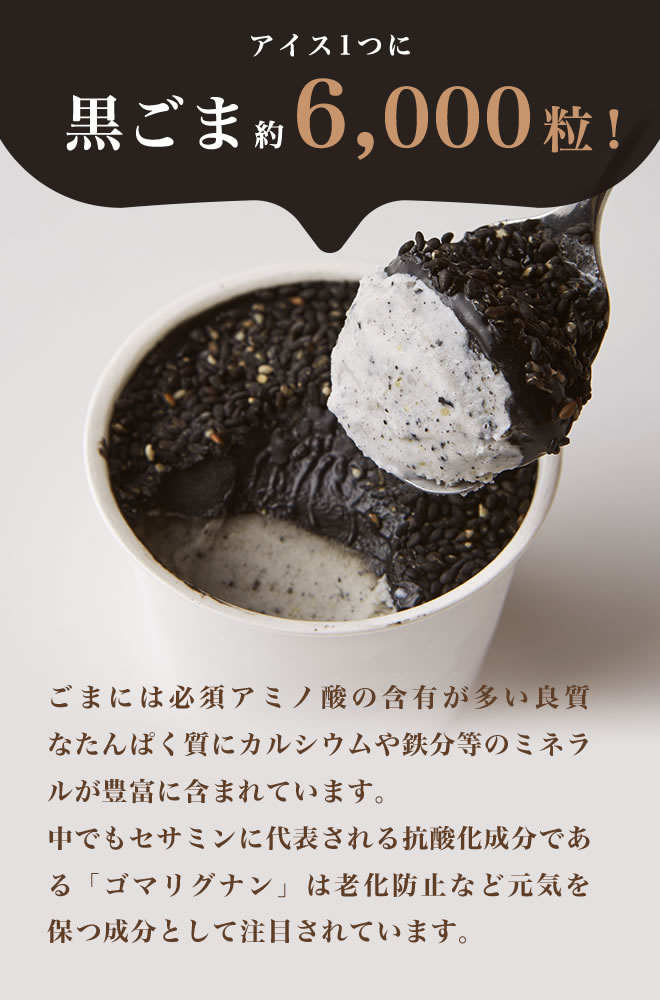 胡麻ジェラ -極- 濃香黒ごま三層仕立て 5個入