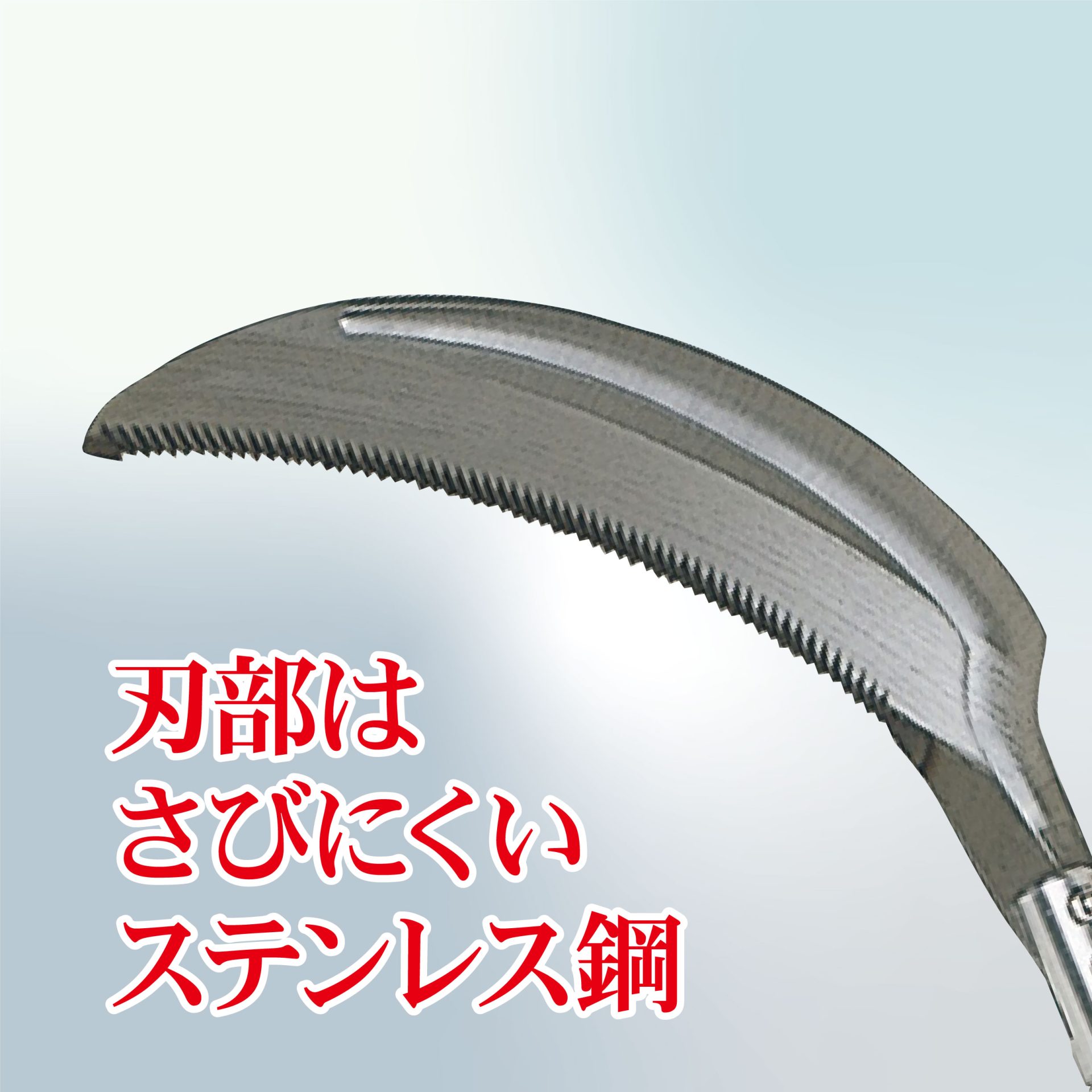 1860 - キンボシ株式会社