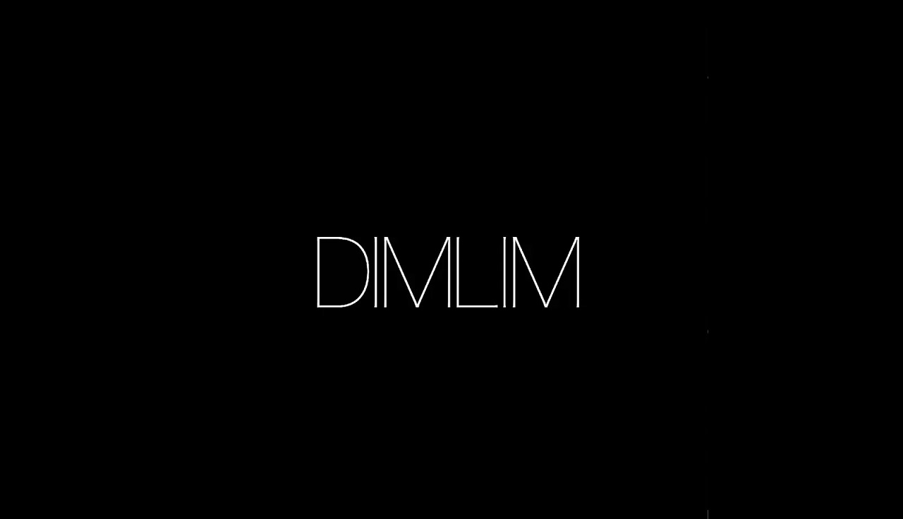 アルバム紹介】DIMLIM、ヴィジュアル系×マスロックへ衝撃の変異