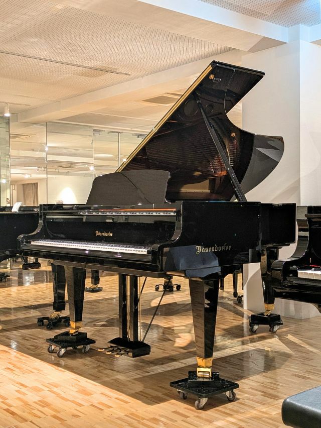 BOSENDORFER(ベーゼンドルファー) 225 中古グランドピアノ 「音楽の都