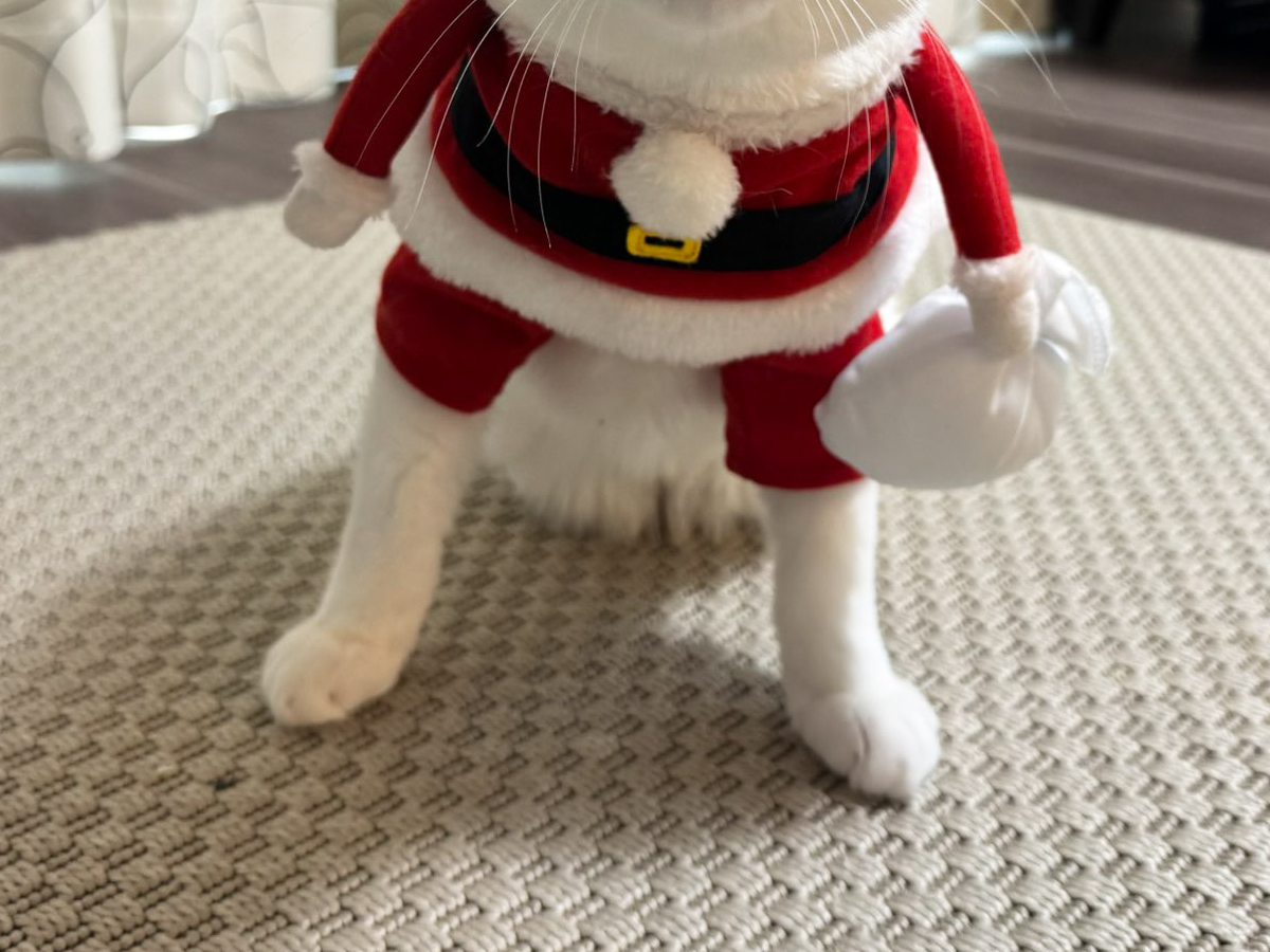 頭がバグったわ」 家に現れた『ちんちくりんなサンタ』、その姿が