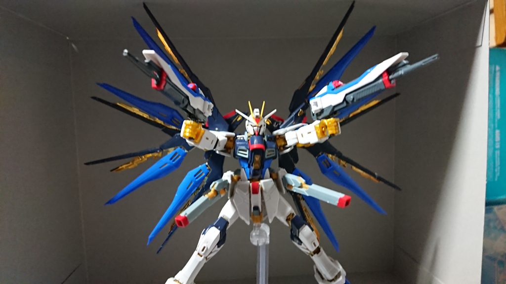 ジャンク品rgストライクフリーダム｜kaihaさんのガンプラ作品｜GUNSTA