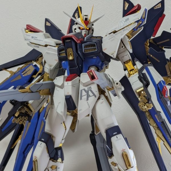 PGストライクフリーダムガンダム｜ヒロタマさんのガンプラ作品｜GUNSTA