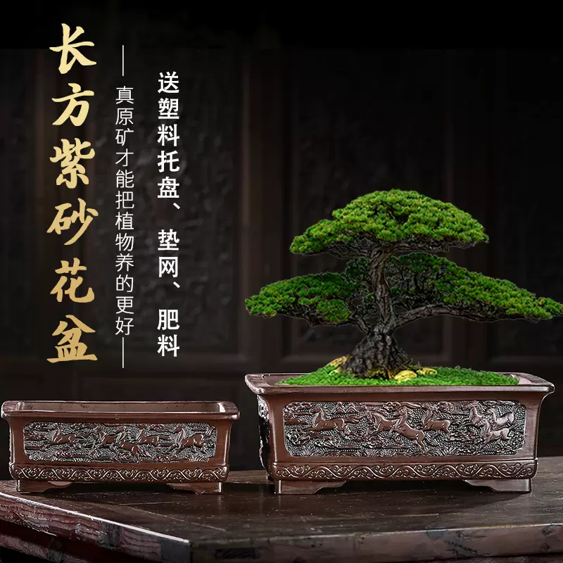 葵花口釉盆 多肉植物鉢 紫砂鉢 盆栽鉢 植木鉢 小品盆栽鉢 大品盆栽鉢