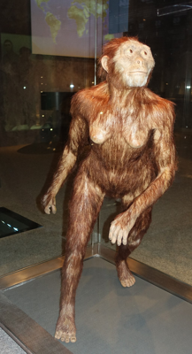 アウストラロピテクス - mtane0412