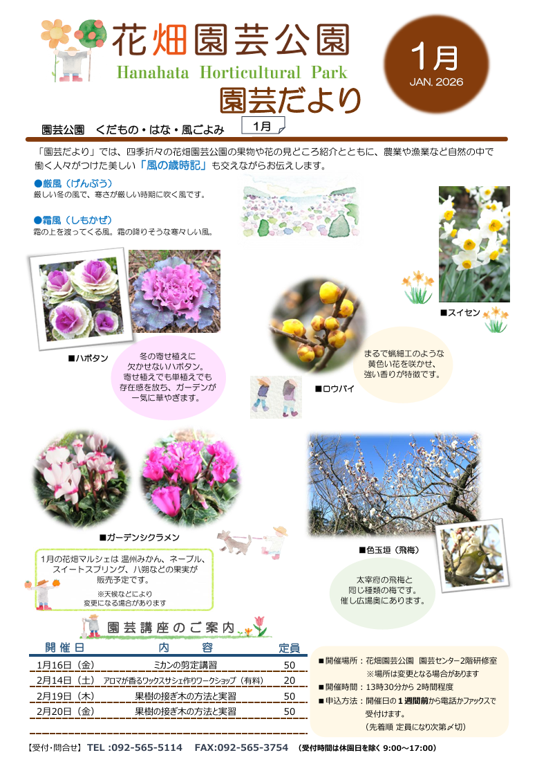花畑園芸公園 オフィシャルサイト｜福岡市南区 「園芸だより」2026