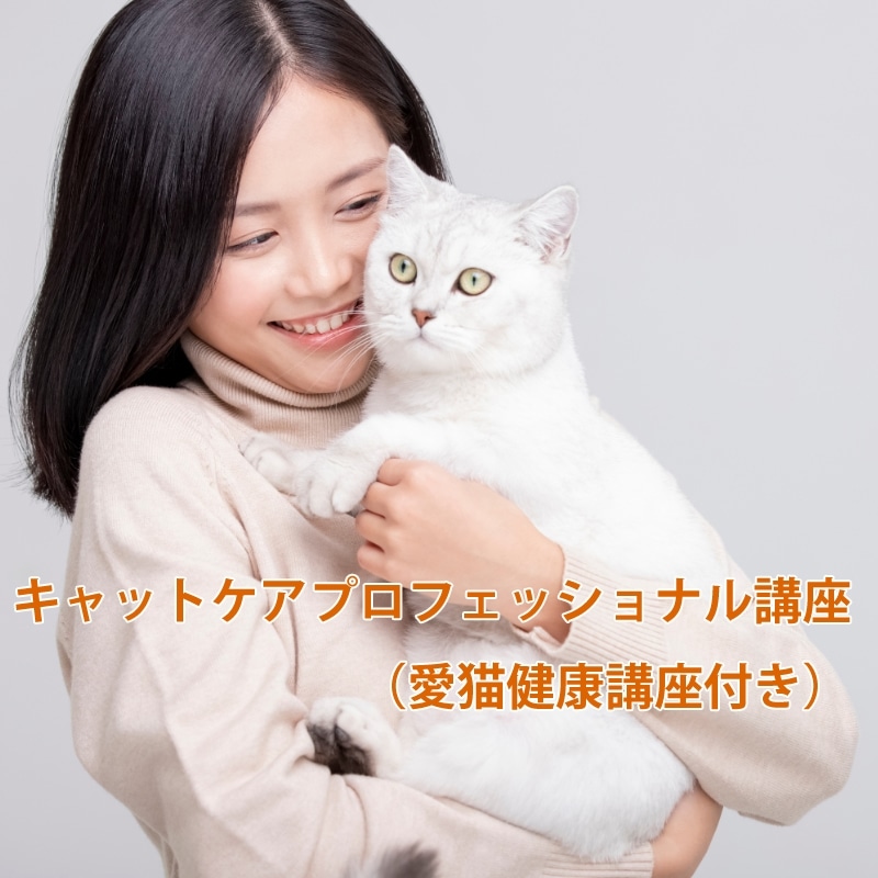 キャットケアスペシャリスト講座|通信教育講座で資格なら「ヒューマン