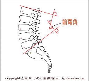 腰椎の生体力学 【鍼灸師が執筆・監修】