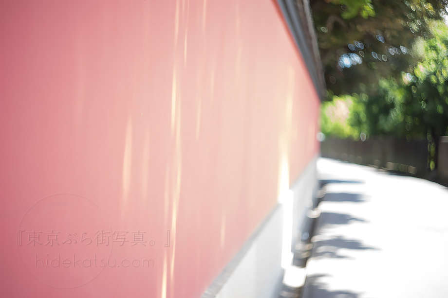 ぐるぐるボケのHELIOS 44-2 58mm F2.0 頼もしいロシアンレンズの汎用性