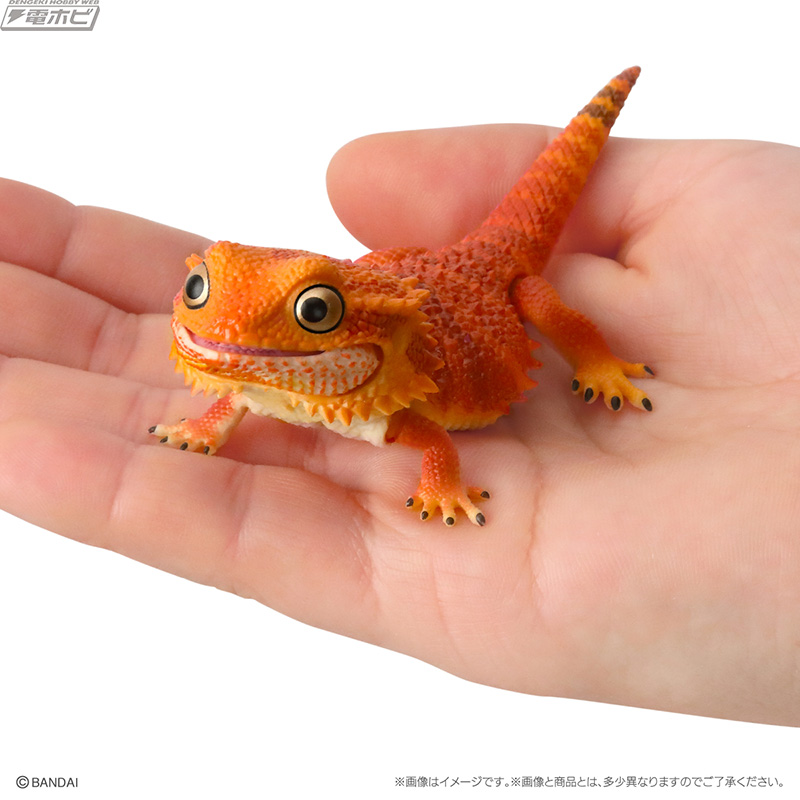可愛いデフォルメ姿に注目！フトアゴヒゲトカゲが「いきもの大図鑑」の
