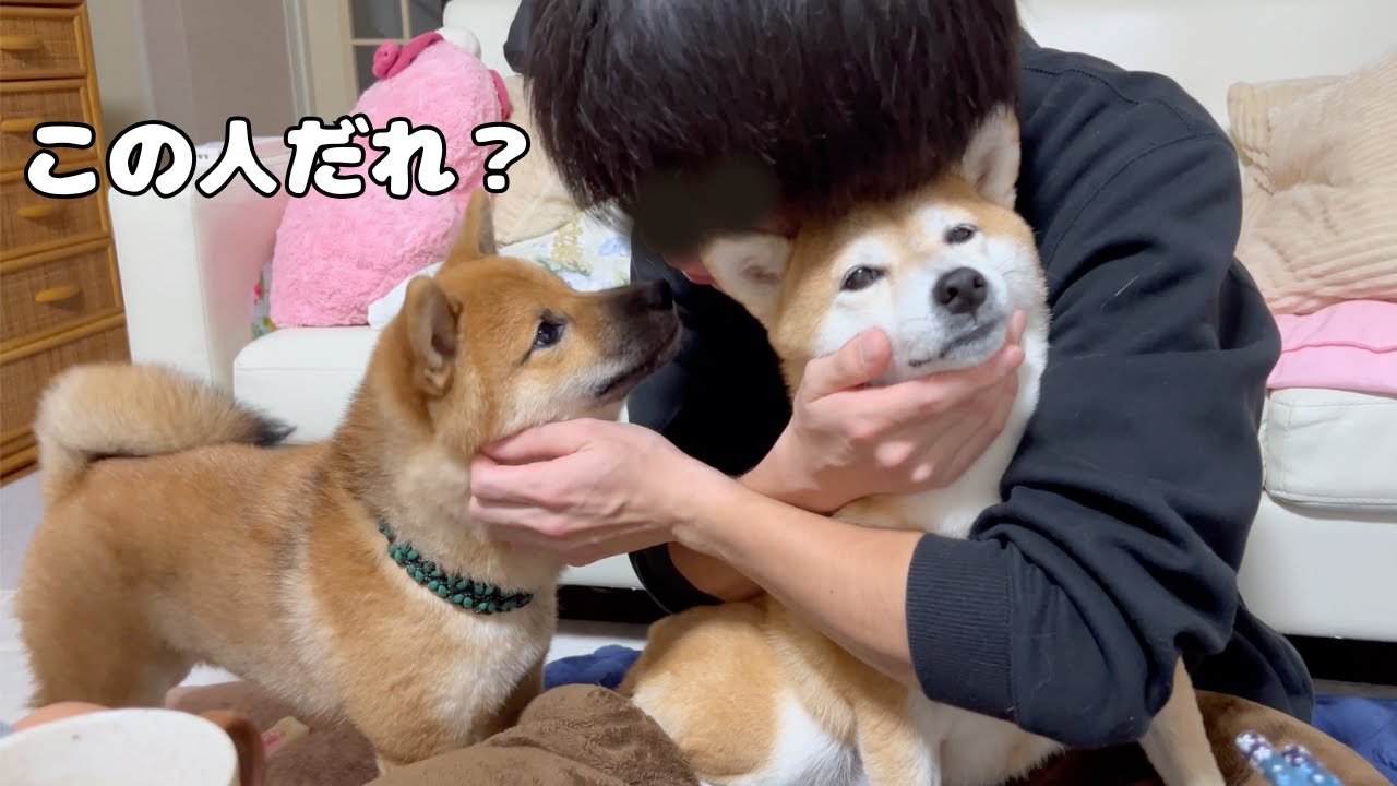 First Meeting] The result of introducing our family to our beloved