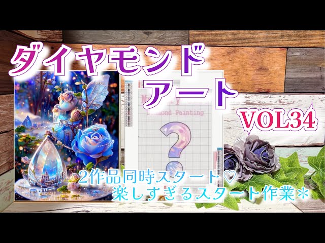 Diamond Art] Diamond Art VOL34💎Two pieces started at the same