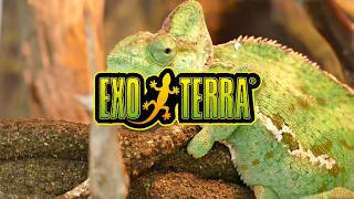 MONSOON MULTI テラリウム用ミスティングシステム 8L モンスーンソロ