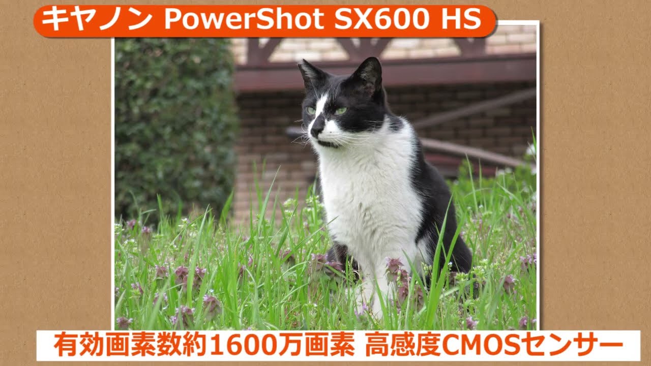 キヤノン PowerShot SX600 HS ブラック | コンパクトデジタルカメラ