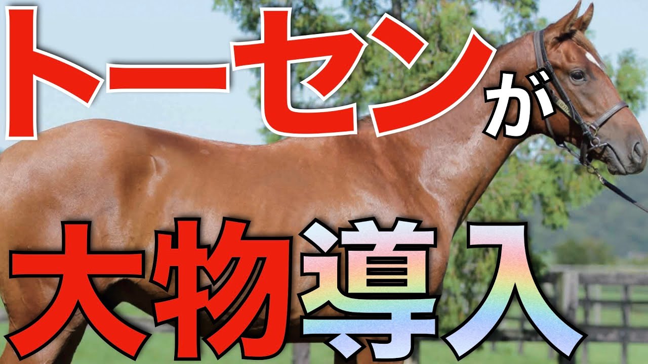 非売品】クールモア・スタッド (海外競馬・種牡馬) 海外競馬