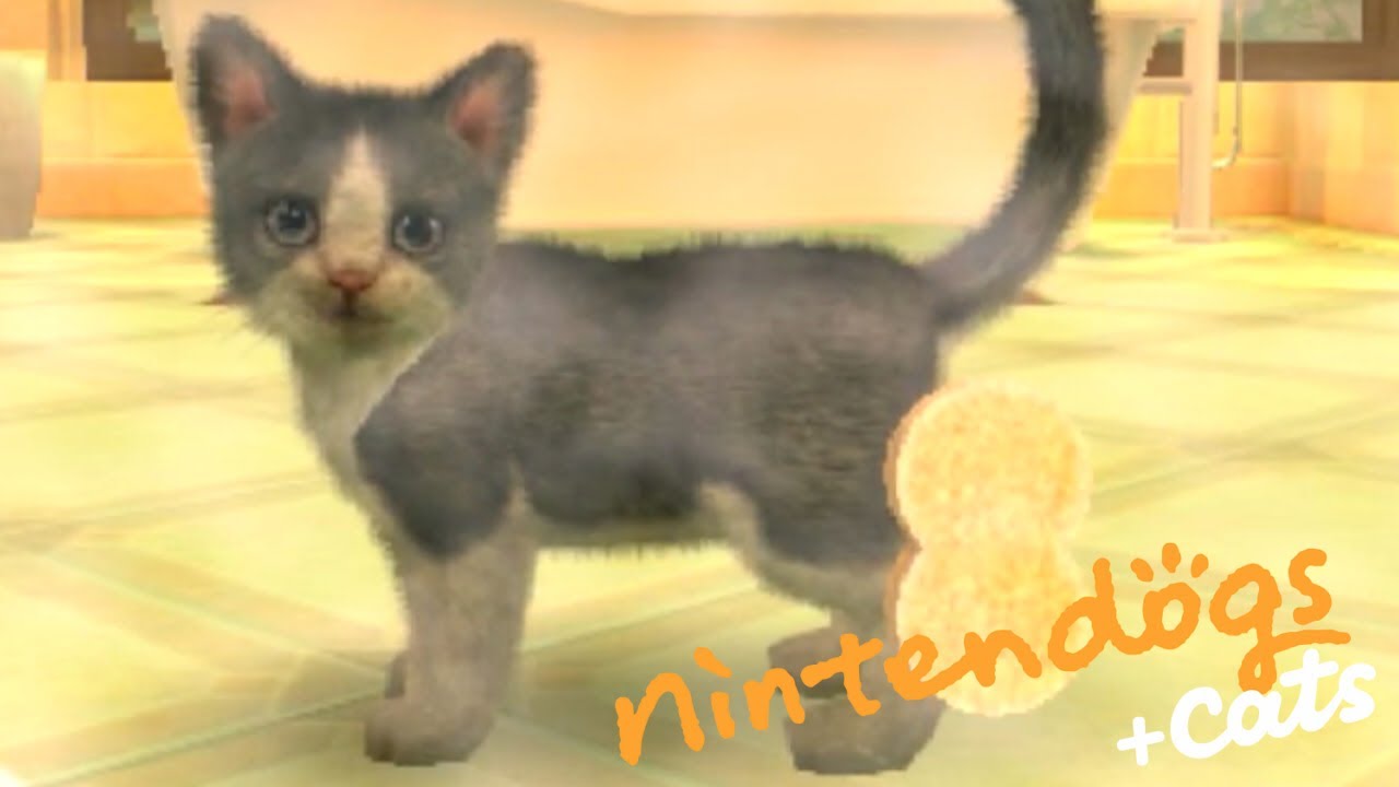 汚れたネコを綺麗にしたい大作戦｜ニンテンドッグス + cats - YouTube