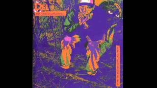 Del Tha Funkee Homosapien - I Wish My Brother George Was Here