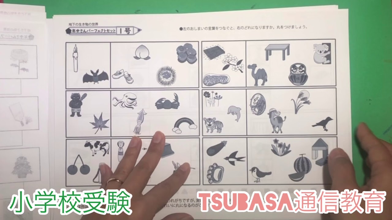 年中さんパーフェクトセット1号 | TSUBASA通信教育ネットショップ