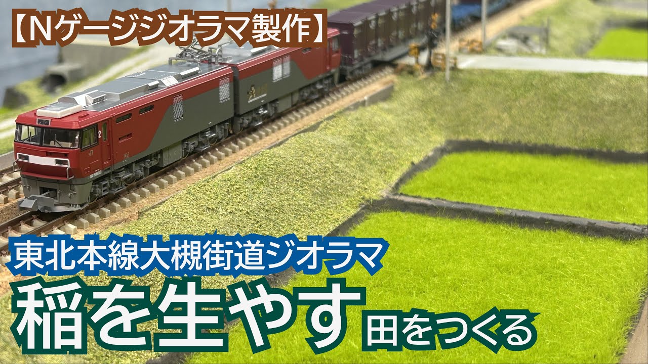 N gauge] Growing rice and creating rice fields (Tohoku Main Line