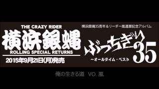 横浜銀蝿『ぶっちぎり35～オールタイムベスト』トレイラー 2015.09.21