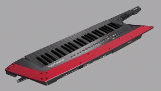 Roland AX-EDGE-W + 専用キャリングケース CB-BAX + マークス