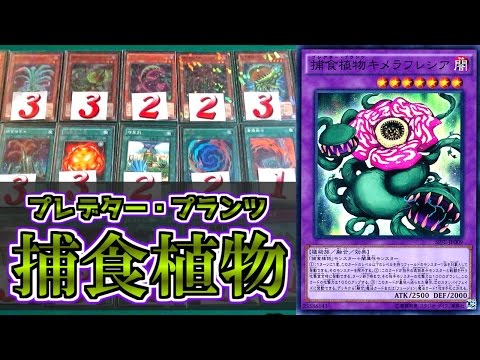 遊戯王 【デッキ紹介】 「捕食植物（プレデター・プランツ