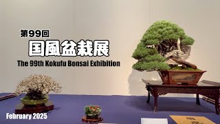 国風盆栽展 第63回〜第69回 Amazon.co.jp: 国風盆栽展 第69回 : 日本
