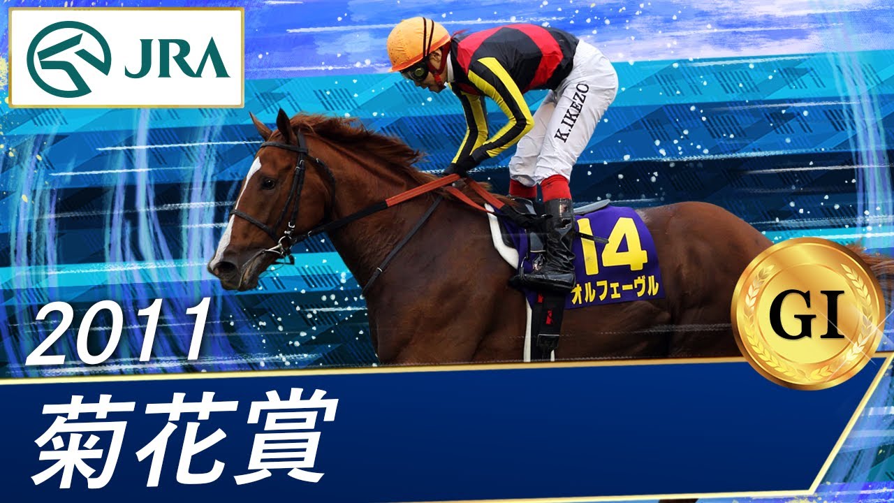 2011 Kikuka Sho (GⅠ) | Orfevre | JRA Official - YouTube
