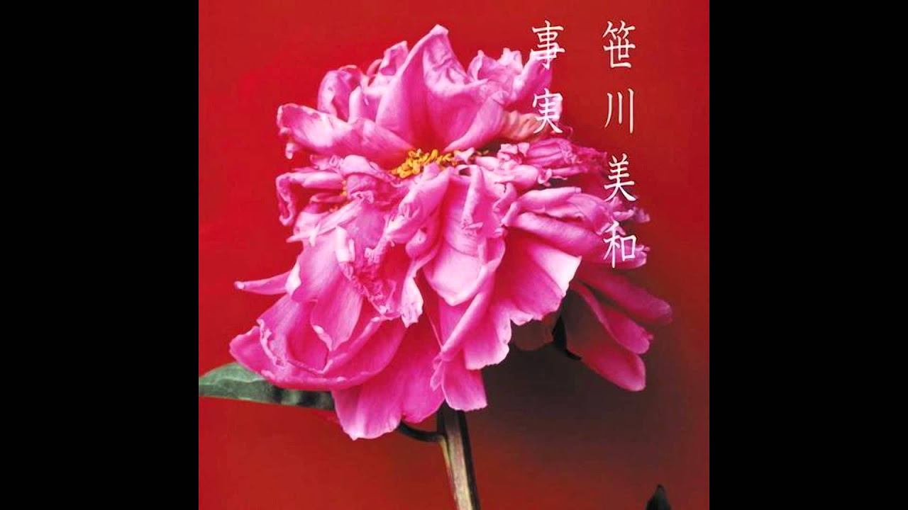 笹川美和 インディーズPV集VHS『HIMAWARI』 オンライン 笹川美和