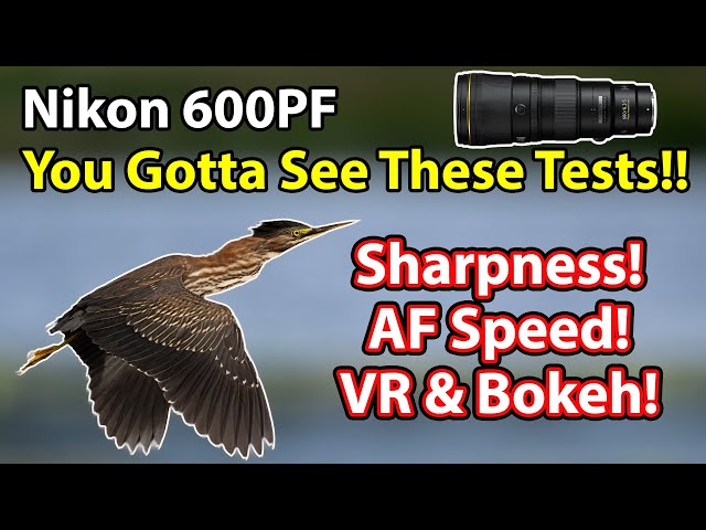 Nikon 600 PF Tests & Comparisons: Sharpness! AF Speed! Bokeh! VR