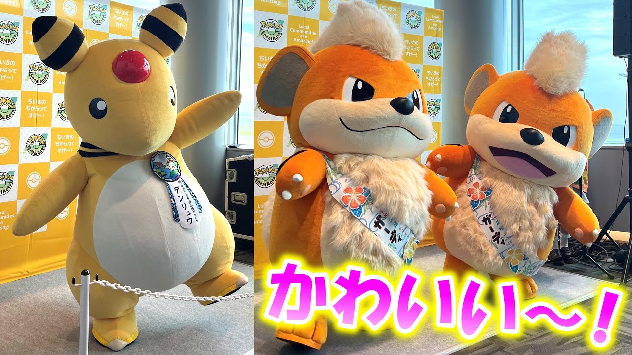 ポケモンキャンバスぬいぐるみ☆ブースターガーディライチュウ