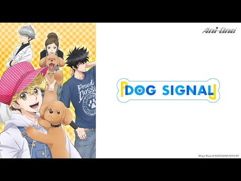 Dog Signal - YouTube