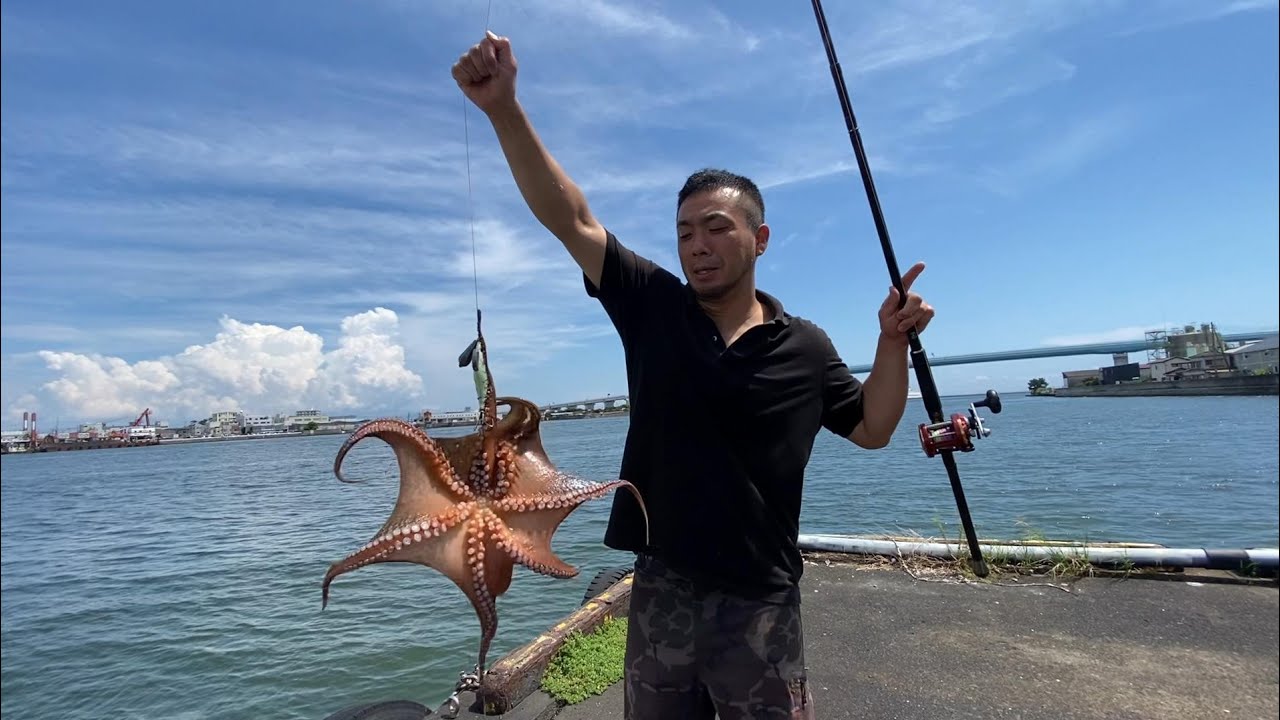 徳島】タコエギでタコ釣ったよ🐙 - YouTube