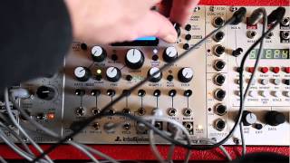 Intellijel Designs Cylonix Shapeshifter — Clockface Modular