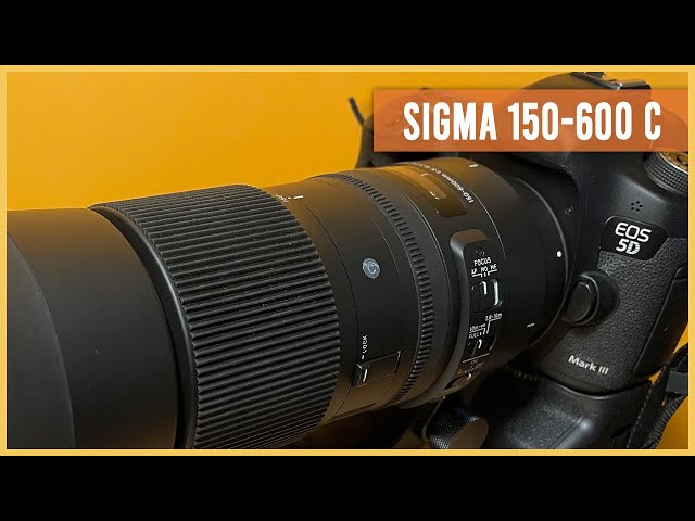 My new Sigma 150-600mm Contemporary lens on Canon EF Mount Review