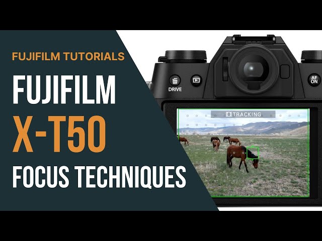 Mastering Focus on the Fujifilm X-T50 | AF Modes, Face Detection