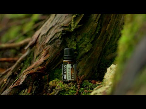 森の音 - doTERRA TIMES