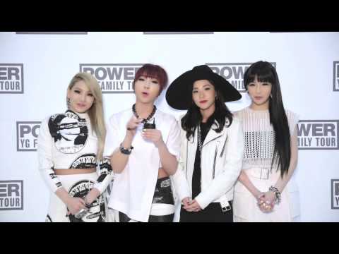 YG FAMILY CONCERT 2014 「POWER」IN JAPAN (2NE1) - YouTube