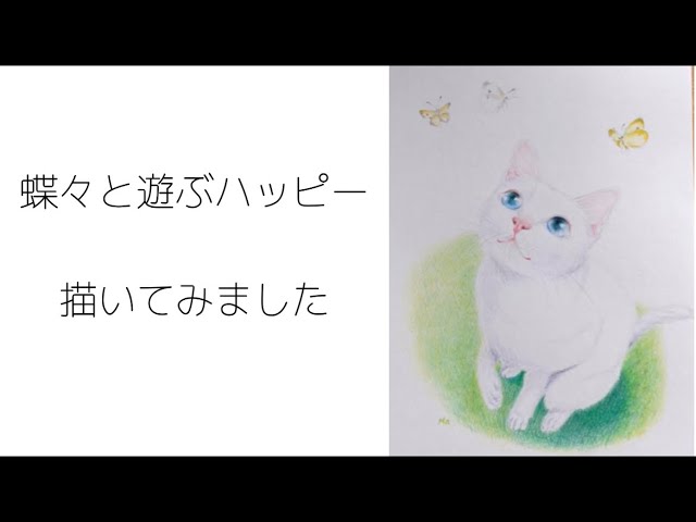 色鉛筆画】蝶々と遊ぶ白猫ハッピー 独学で描いてみました #ねこ #猫