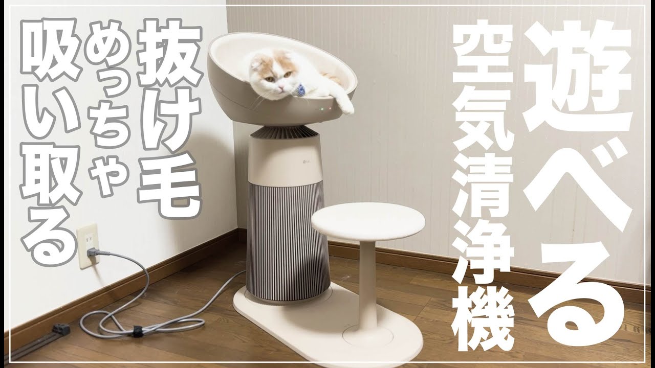 LG発。猫さんが遊べるキャットタワーみたいな斬新空気清浄機が推せる