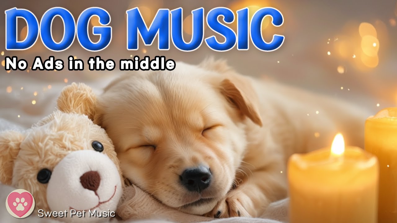 Calming Music for Dogs🦮💖Relaxing Music for Pets & Rest